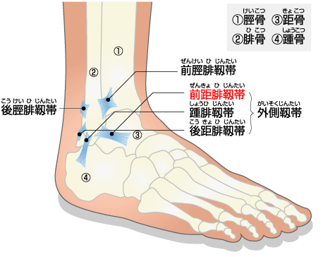 足関節捻挫即緩和メソッド 足関節捻挫 即緩和メソッド | 医療情報研究所 DVD教材ストア
